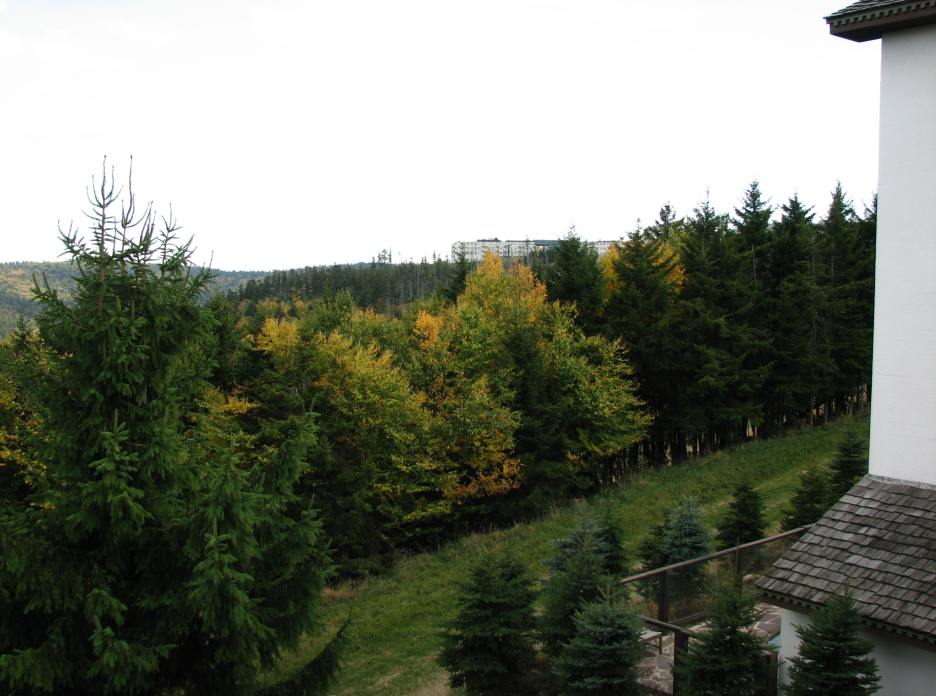 img_0807.jpg