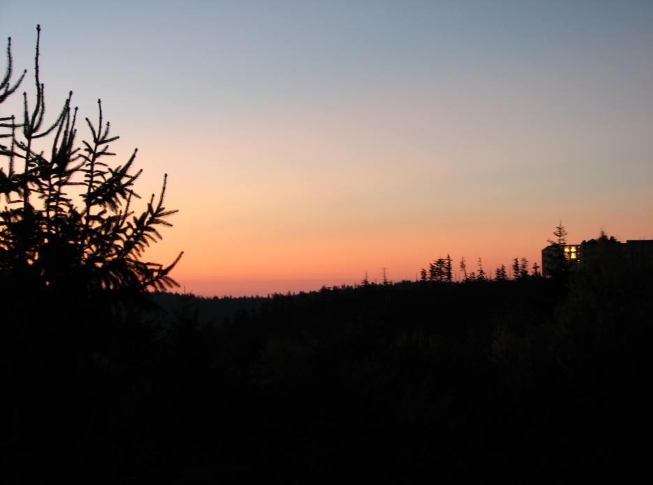 img_0825.jpg