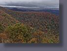 IMG_2305.JPG