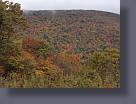 IMG_2306.JPG