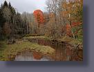 IMG_2315.JPG