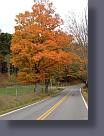 IMG_2318.JPG