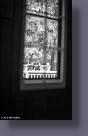 L1020663.jpg