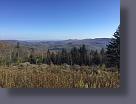 IMG_2065.JPG
