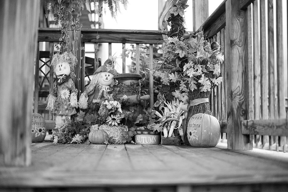 L3003877.jpg