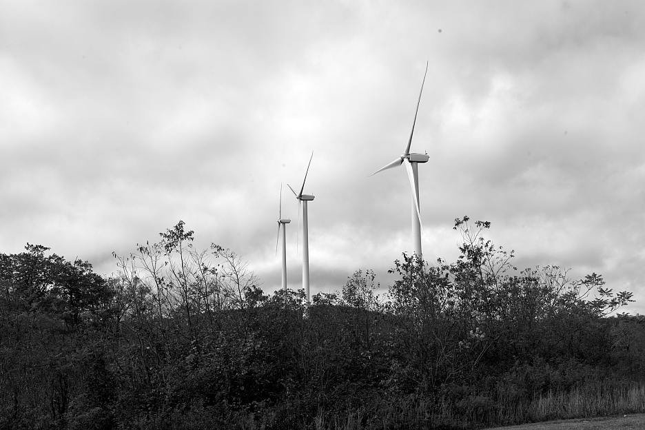 L3004492_DNG_p.jpg
