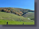 IMG_4968.JPG