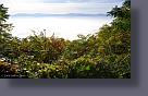 dsc2686.jpg