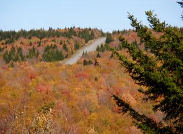 pa120014.jpg