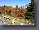 IMG_0031.JPG