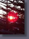 IMG_0056.JPG
