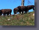 IMG_0626.JPG
