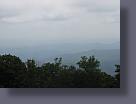 img_0752.jpg