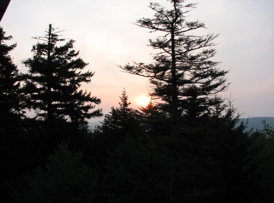 img_0301.jpg