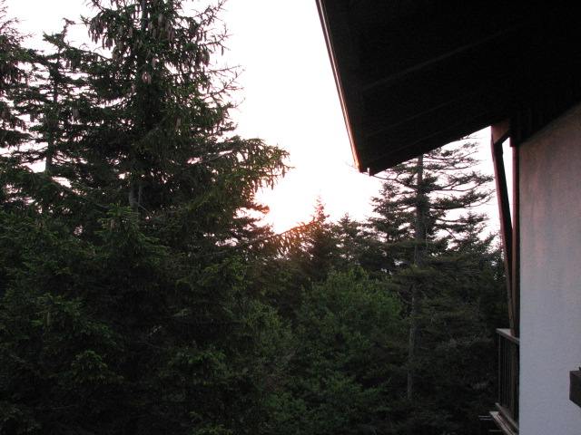 img_0303.jpg