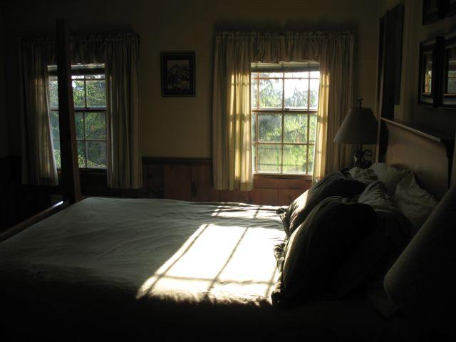 img_0499.jpg