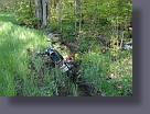 dsc01531.jpg