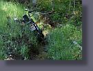 dsc01532.jpg