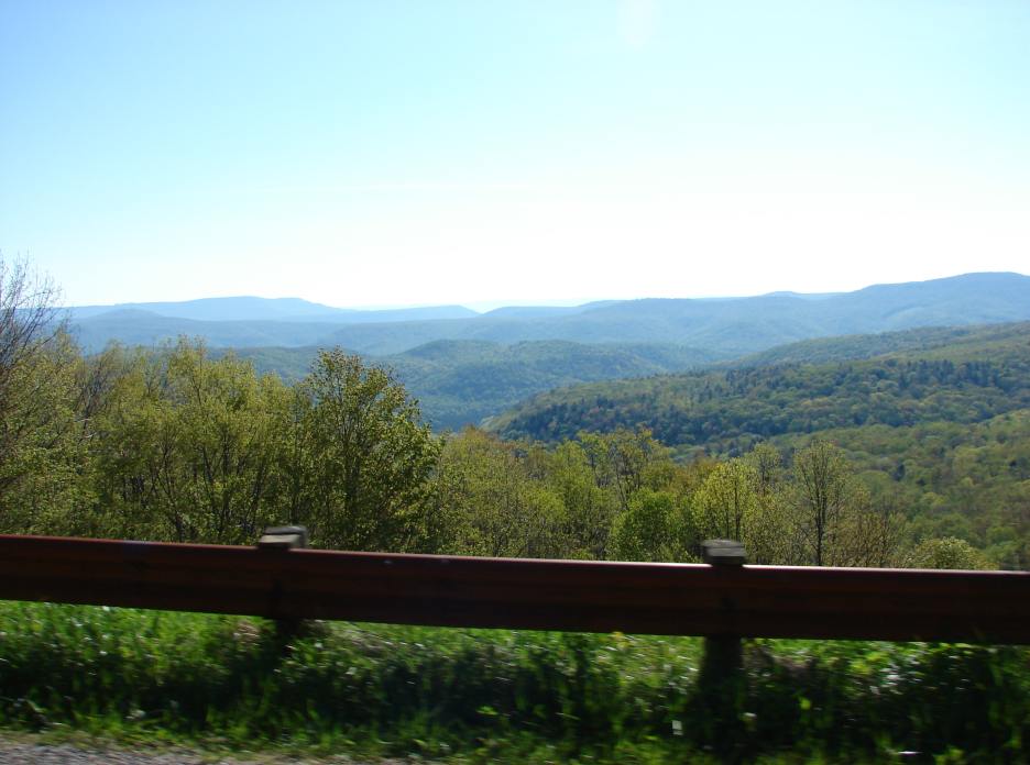 dsc01485.jpg