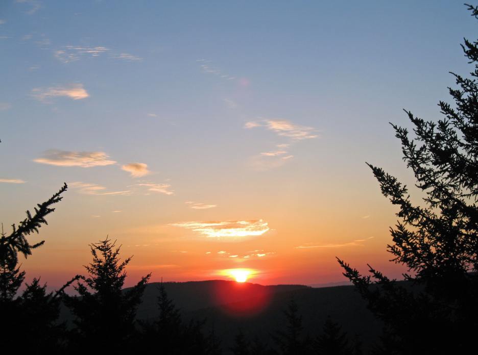 IMG_0950_edited.JPG