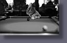 DSC3892.jpg