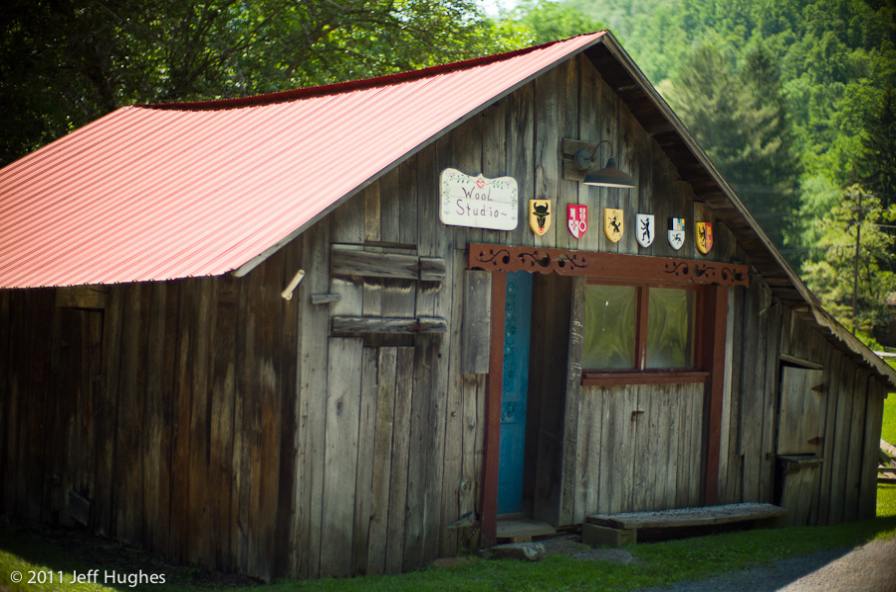 L1007494.jpg