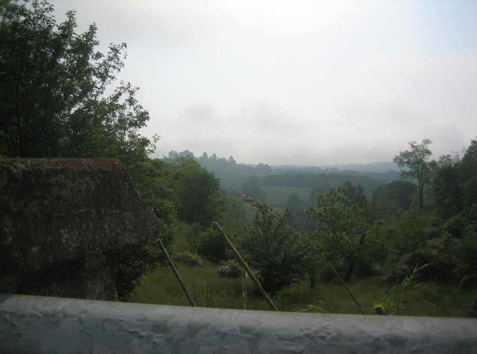 IMG_2700.JPG