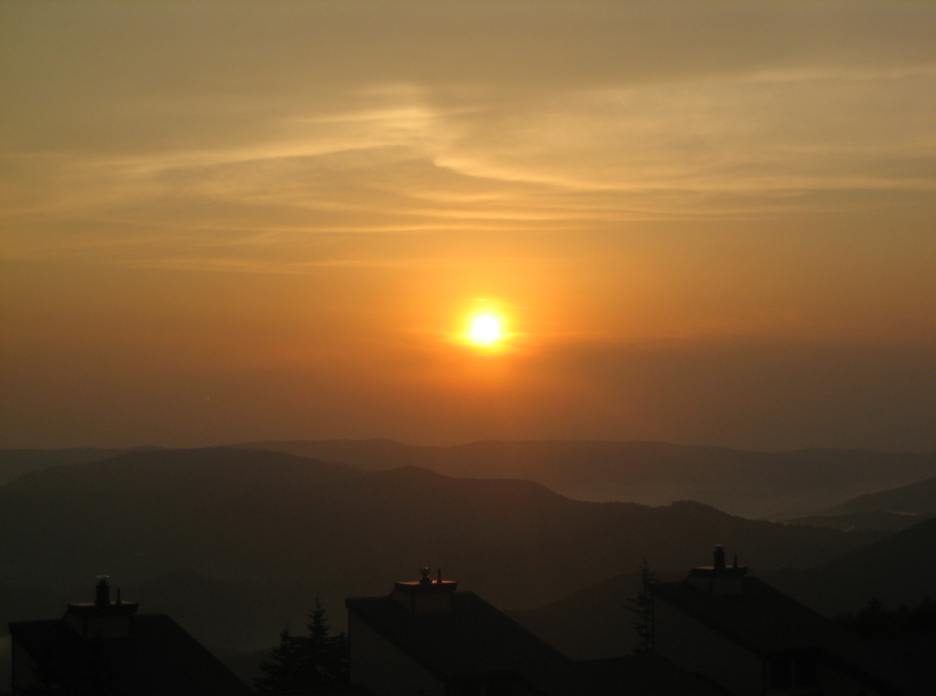 IMG_2739.JPG