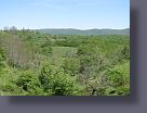 IMG_0515.JPG