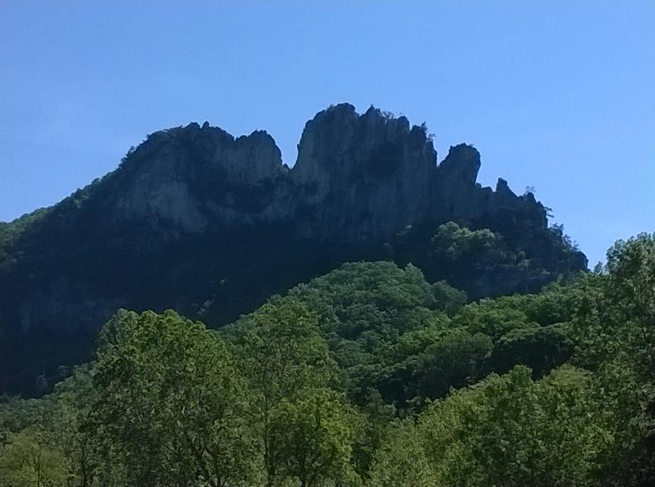 WP_20150524_013.jpg