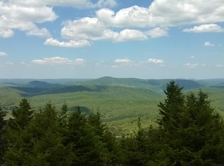 WP_20150524_025.jpg