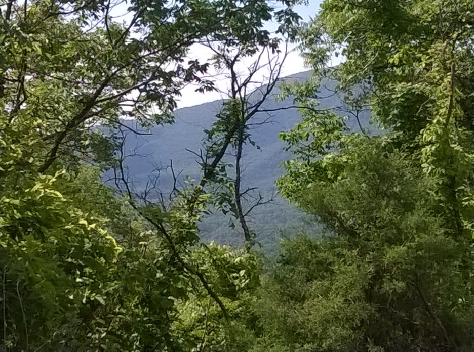 WP_20150525_009.jpg