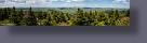 L2005835-Pano.jpg