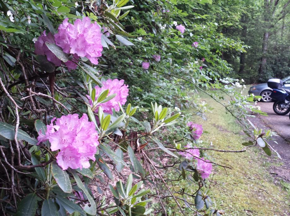 20160529_104436.jpg
