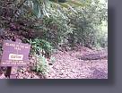 20160529_103129.jpg