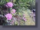 20160529_104436.jpg