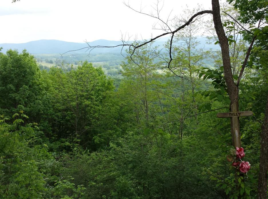 20170527_154043.jpg
