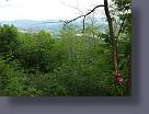 20170527_154043.jpg