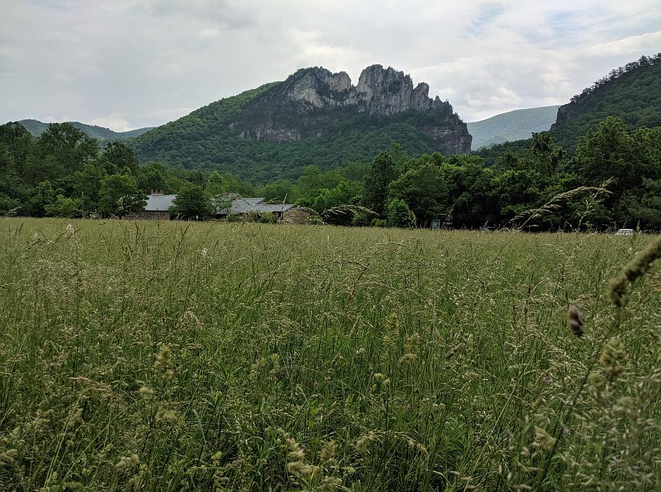 IMG_20190526_114828.jpg