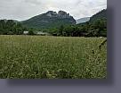 IMG_20190526_114828.jpg