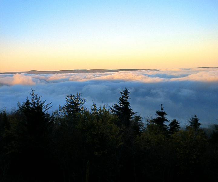 snowshoe23.jpg