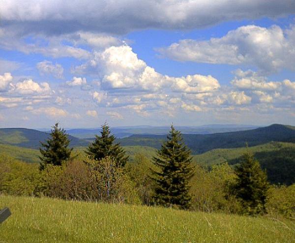 ss0118.jpg