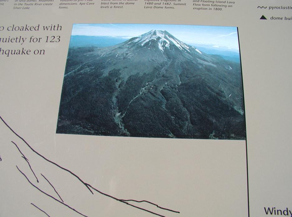 p9110117.jpg