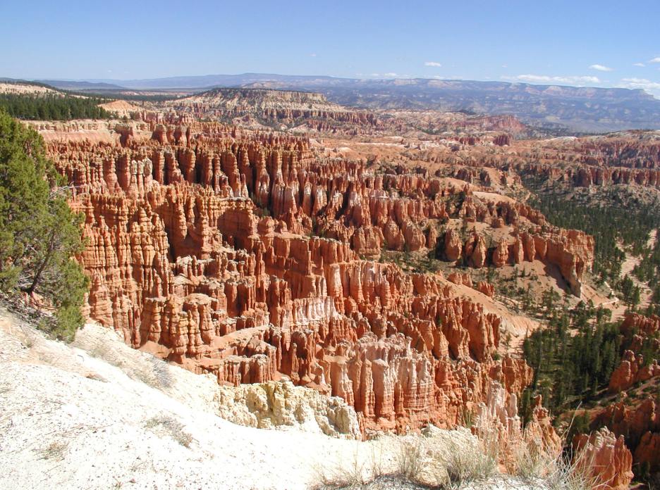 p9190160.jpg