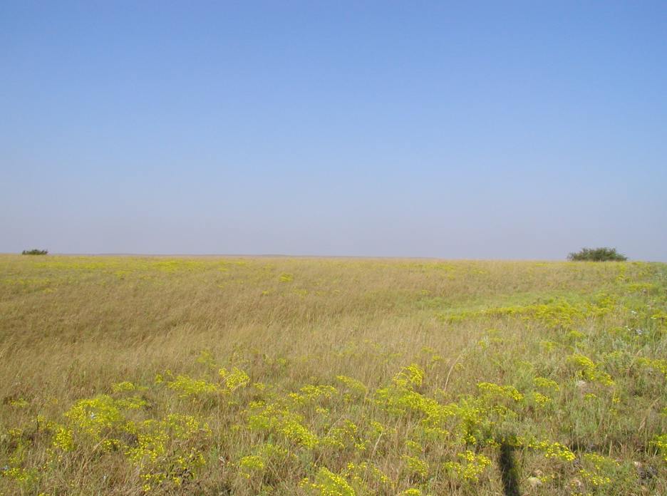 p9230175.jpg